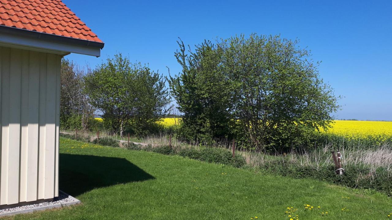 Ferienhaus Seestern Altefähr エクステリア 写真